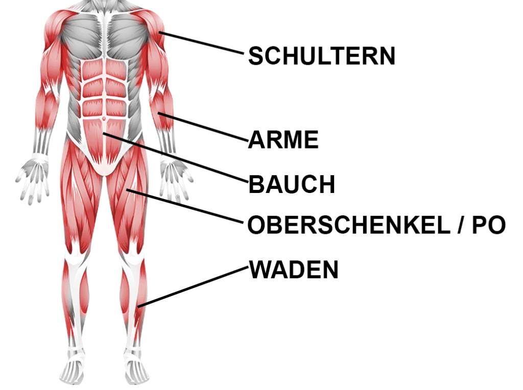 Diese Muskeln werden beim Joggen trainiert​