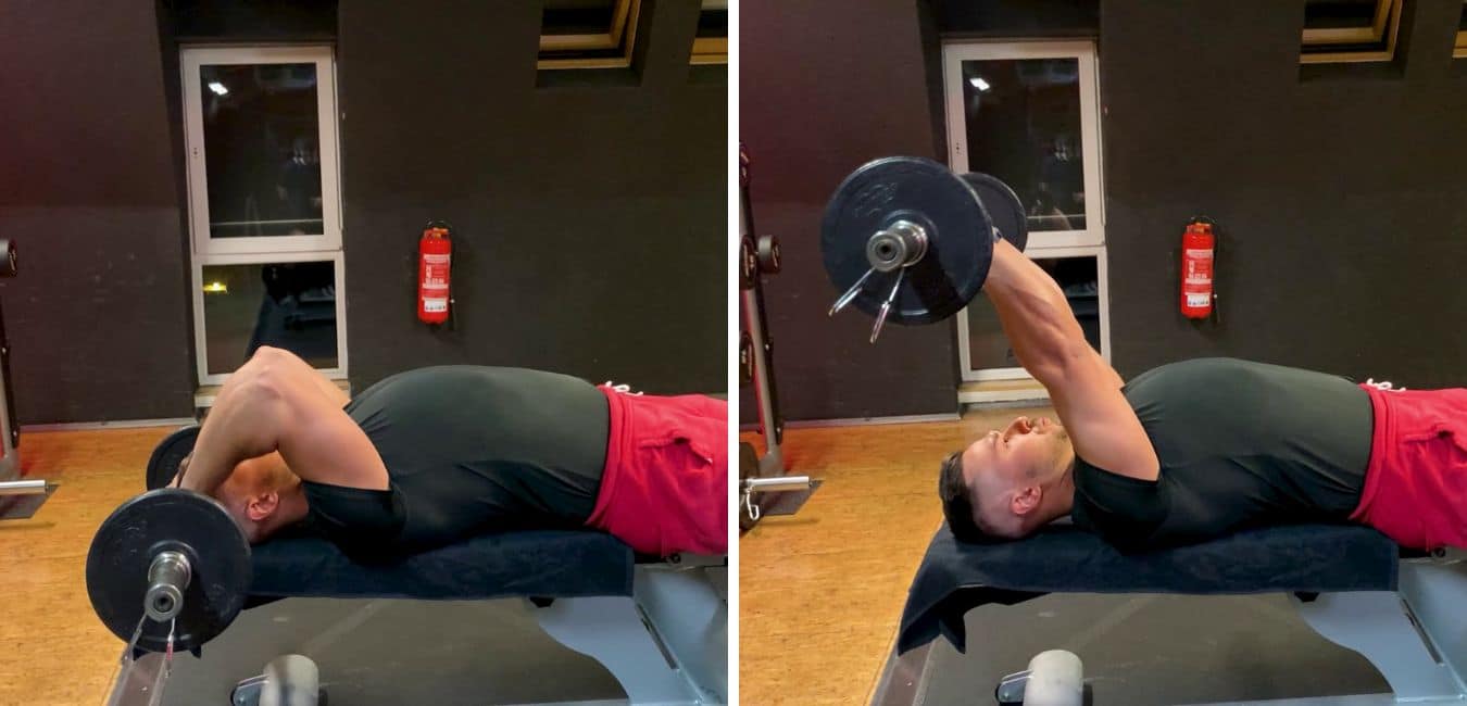 French Press für den Trizeps (Muskeln, Variation und Ausführung)